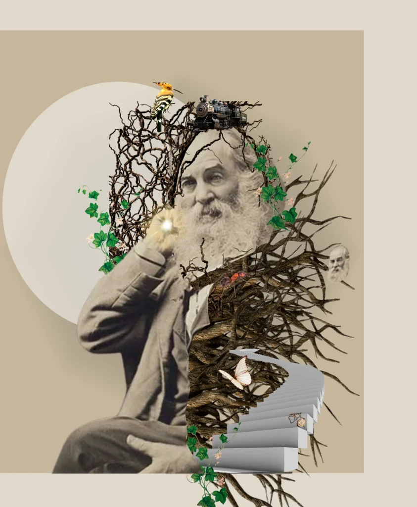 Whitman