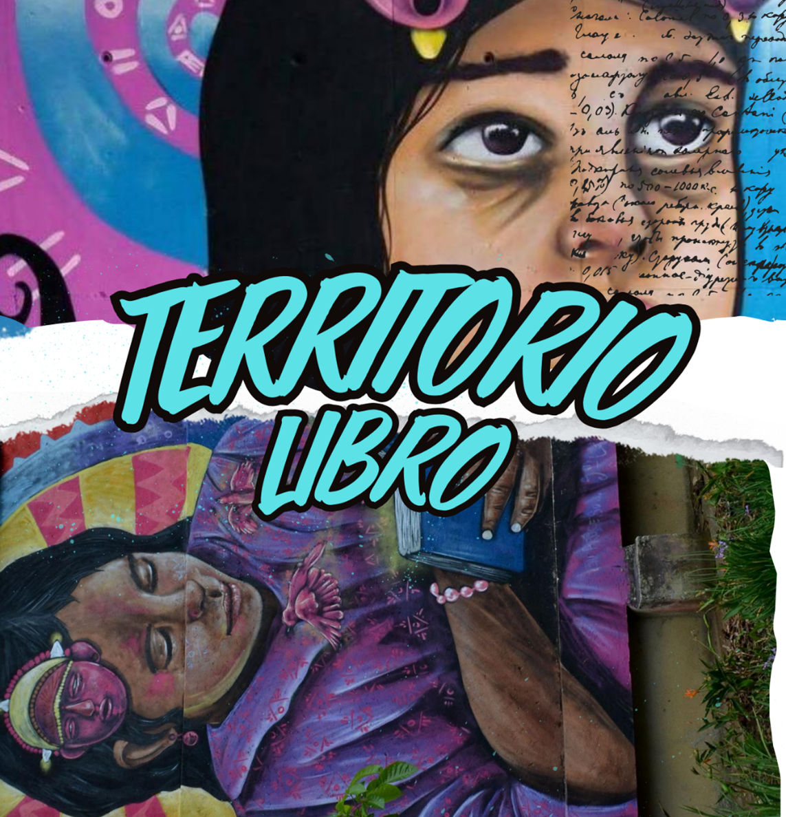 Territorio Libro